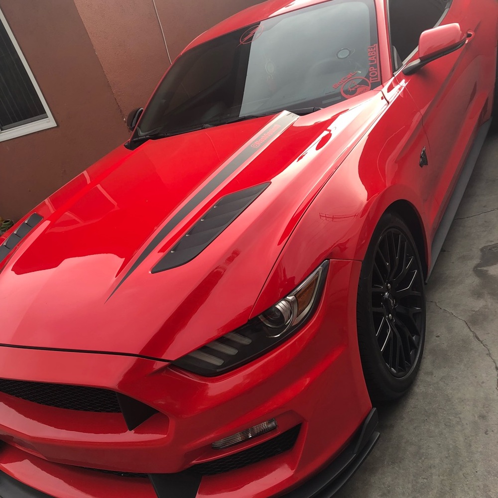 Meet your Posher, Frank